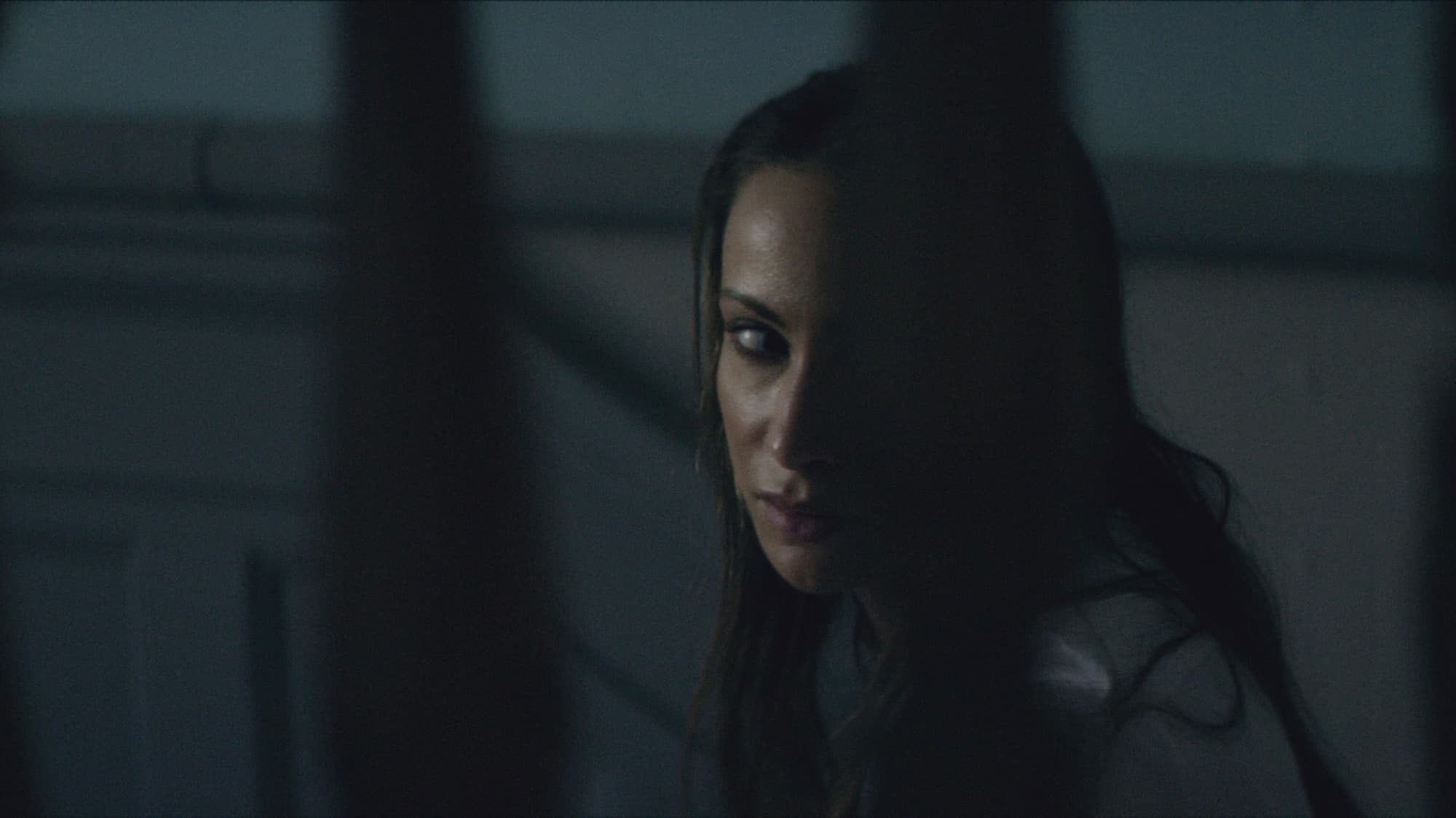 Poster backdrop for The Maiden