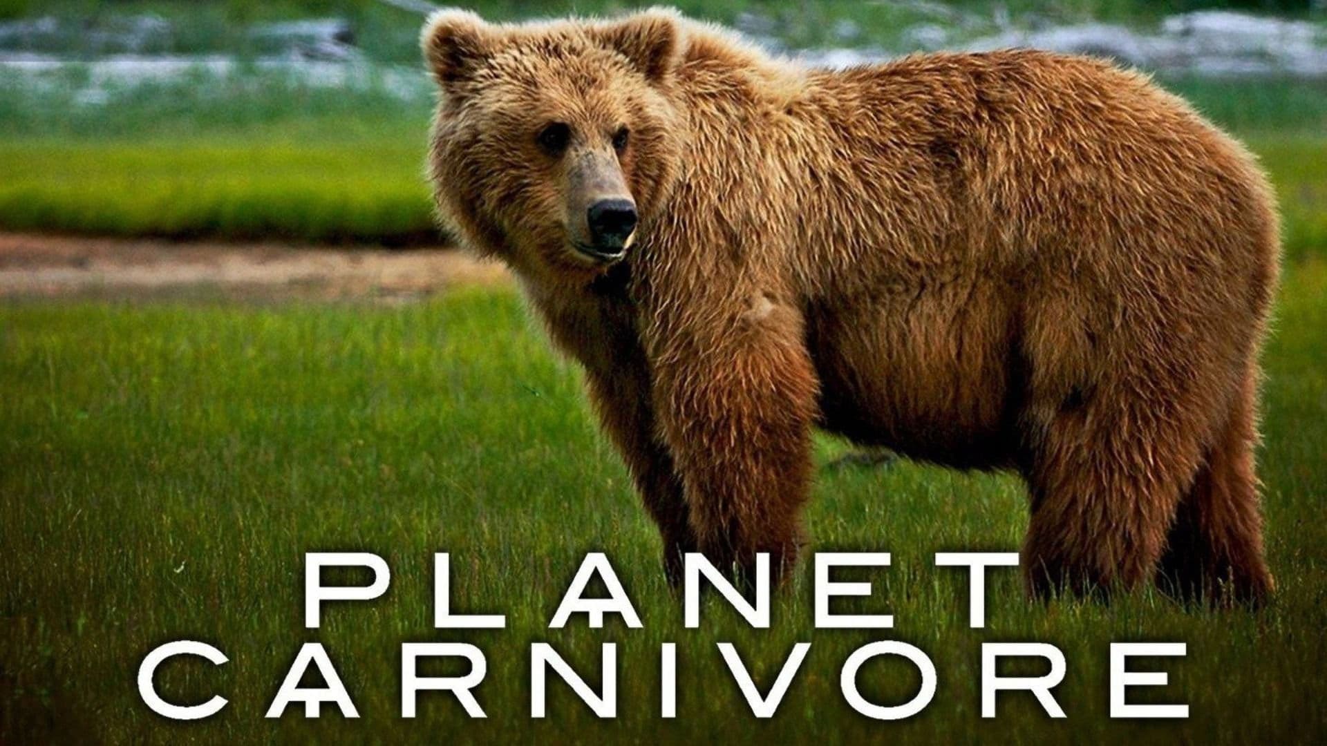 Poster backdrop for Planet Carnivore