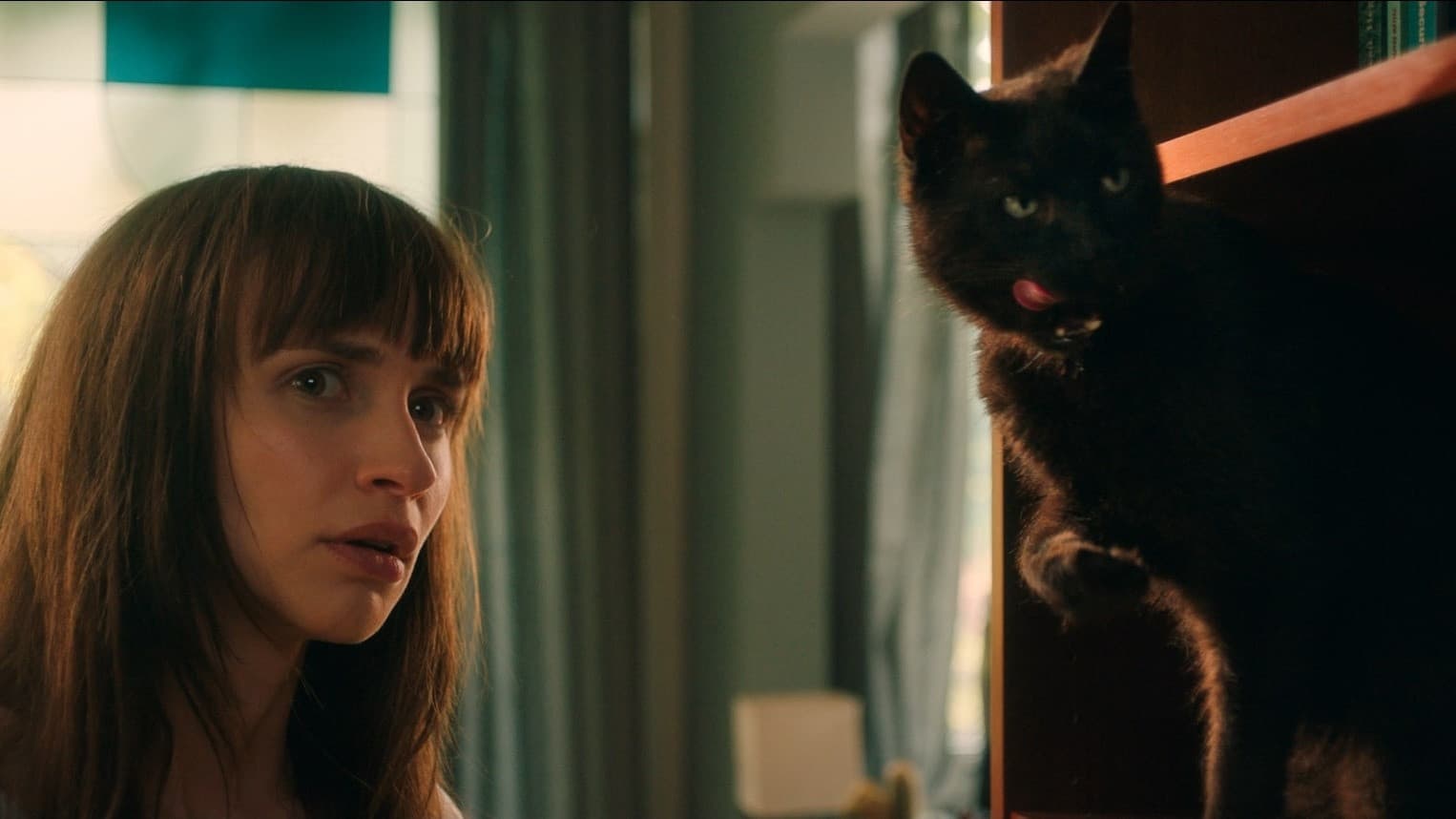 Poster backdrop for Cat Call