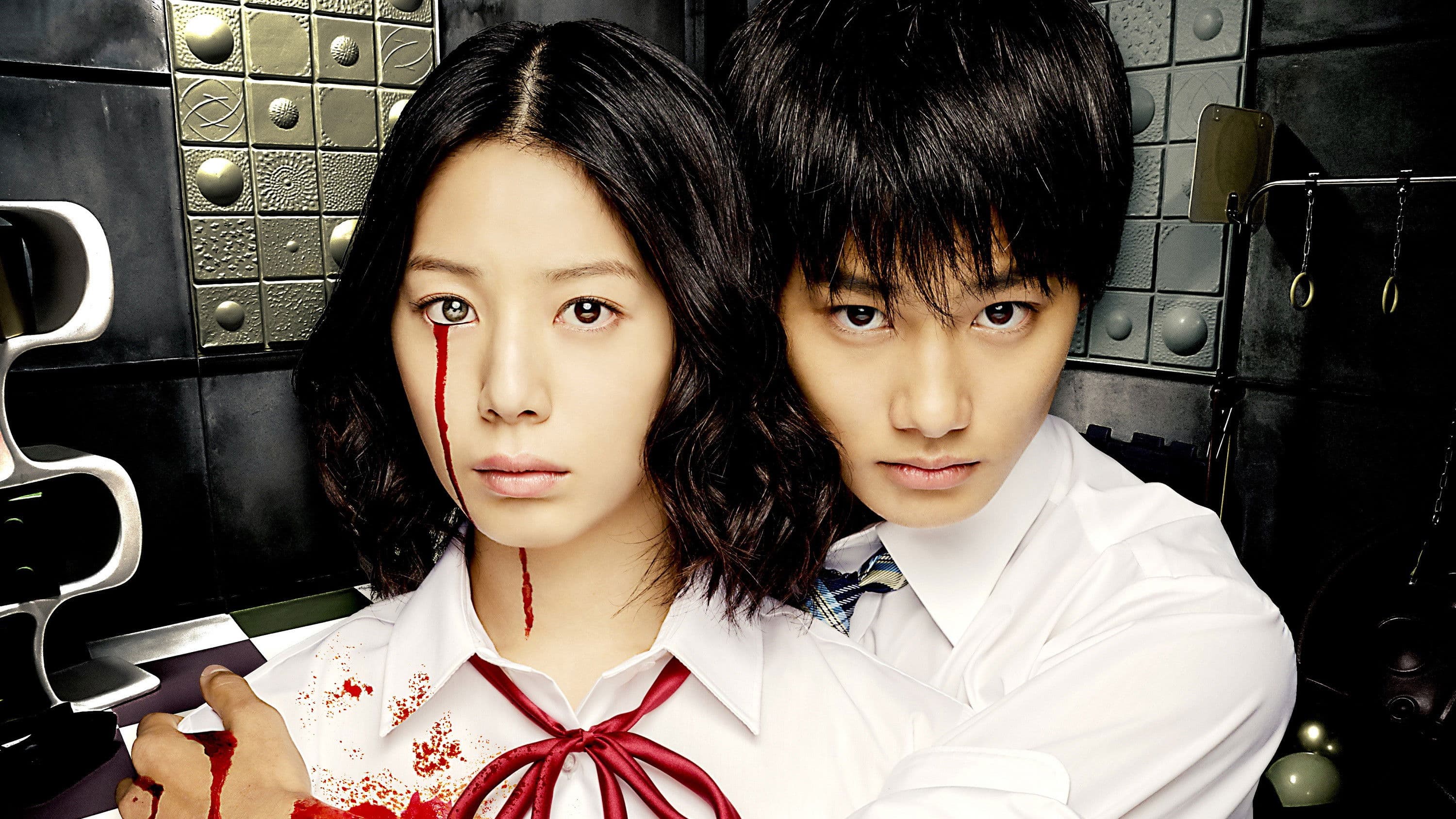 Poster backdrop for Puzzle