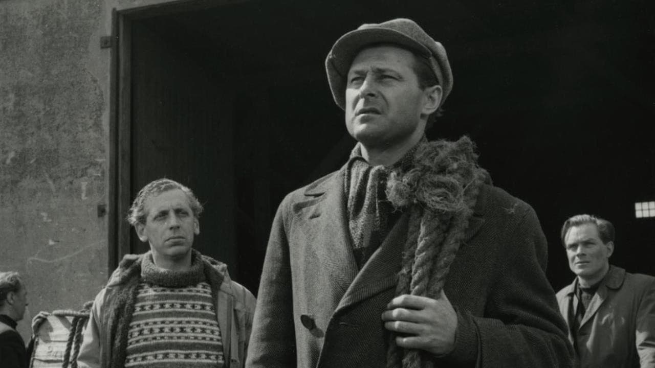 Poster backdrop for The Blinded