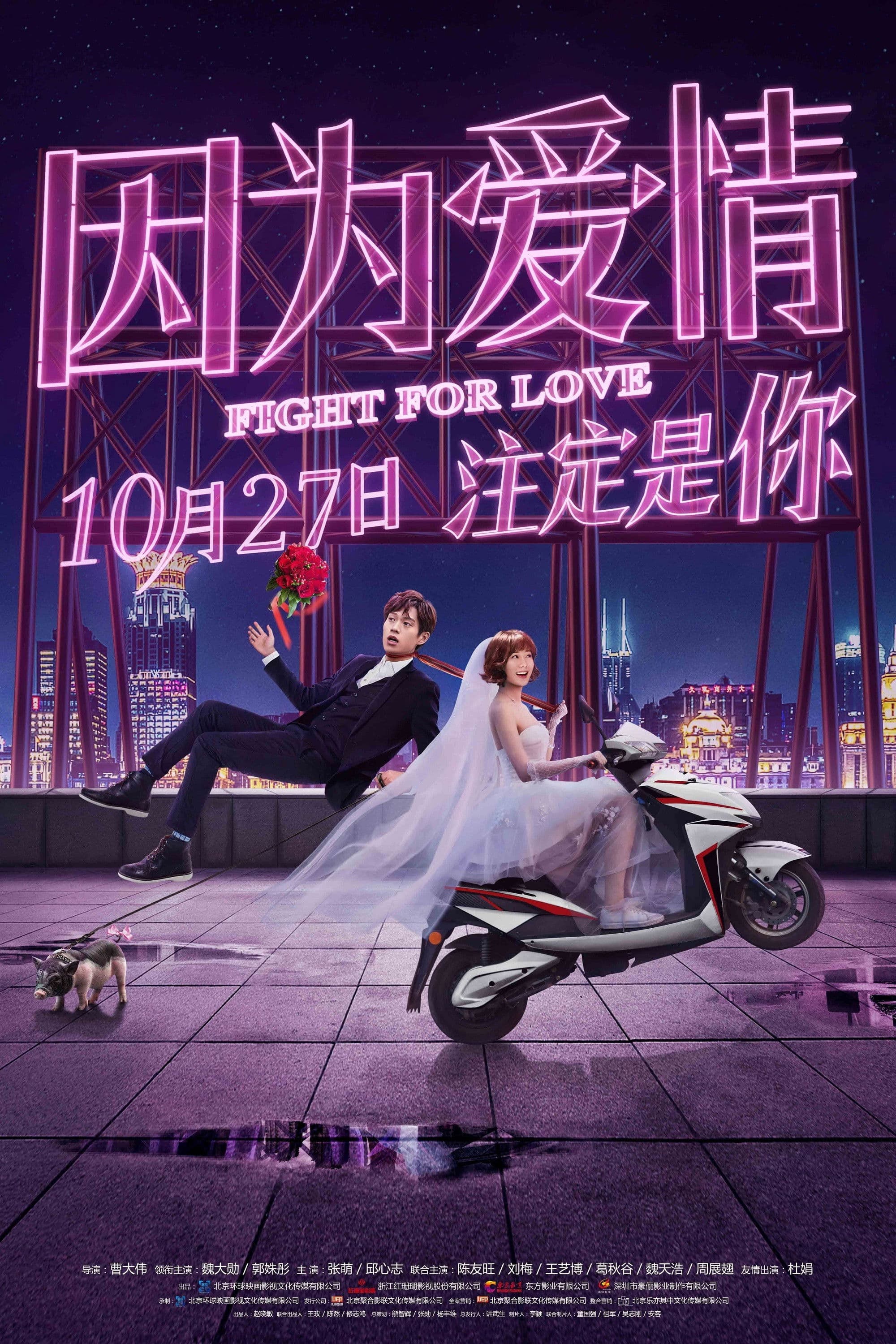 Poster backdrop for Fight for Love