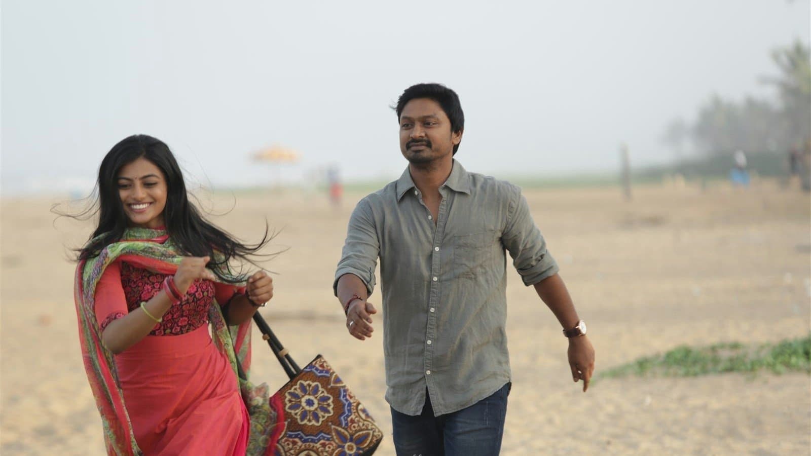 Poster backdrop for Pandigai