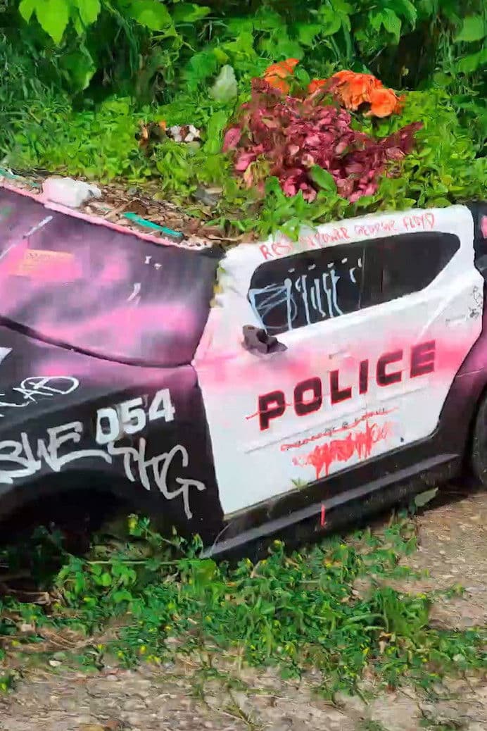 Poster backdrop for Department of Injustice