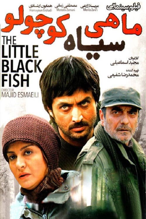 Poster backdrop for The Little Black Fish