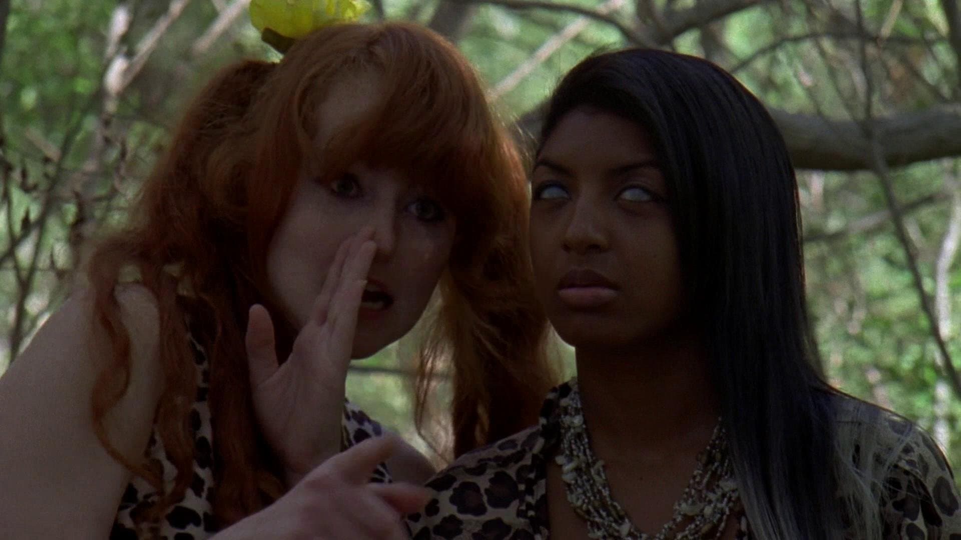 Poster backdrop for B.C. Butcher