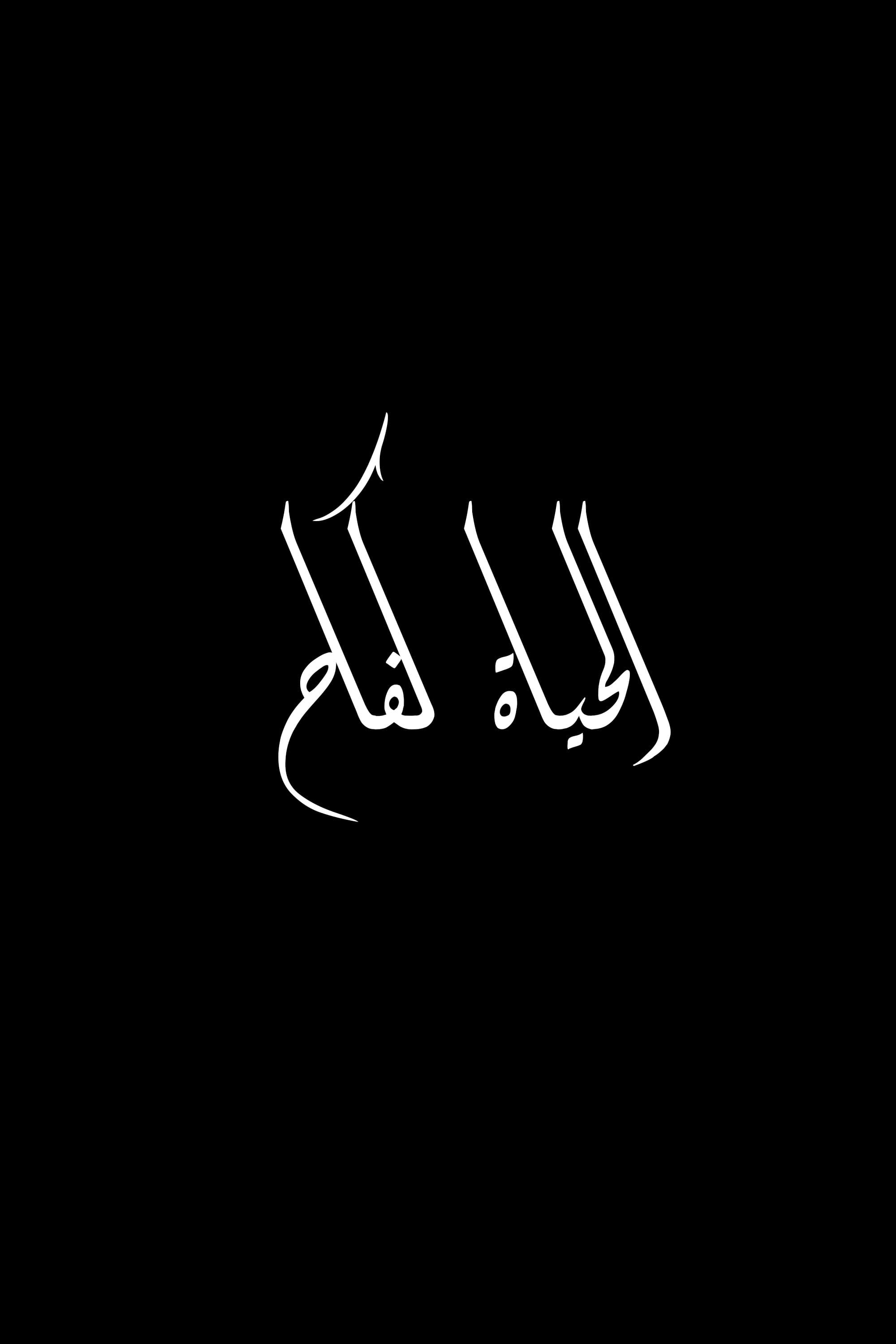 Poster backdrop for Conquer to Live