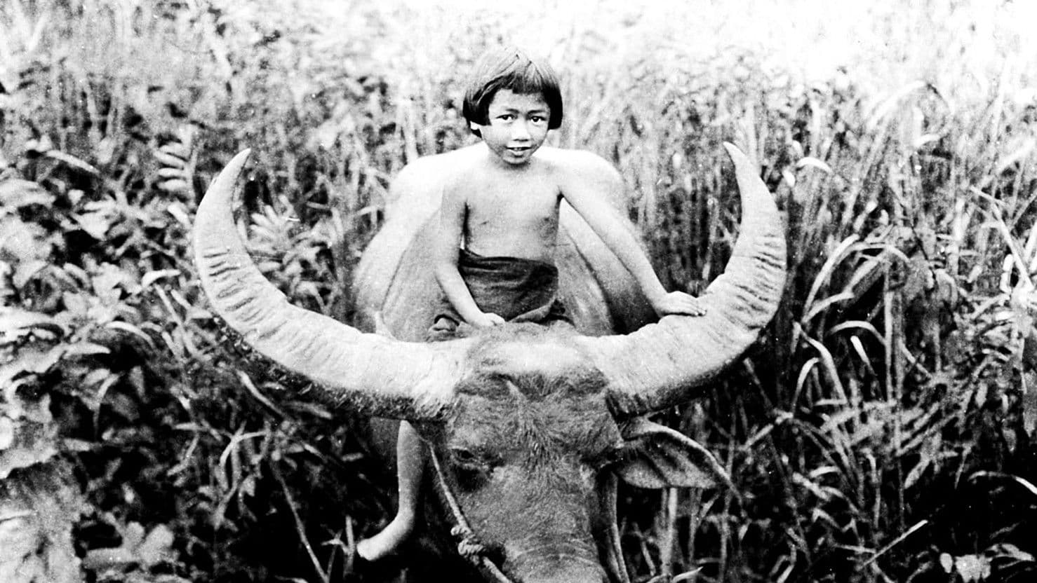 Poster backdrop for Chang: A Drama of the Wilderness