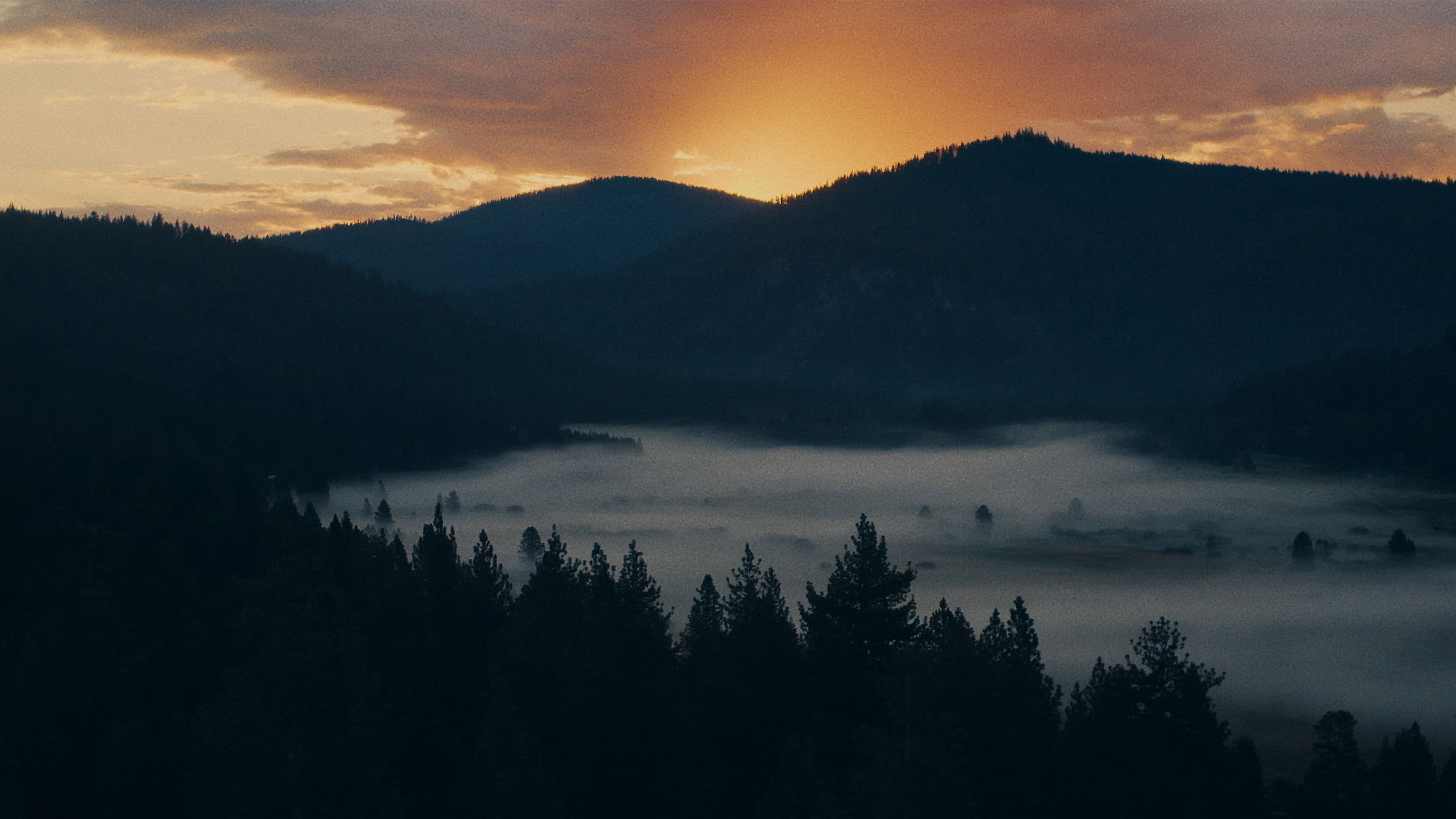 Poster backdrop for Dreama Team