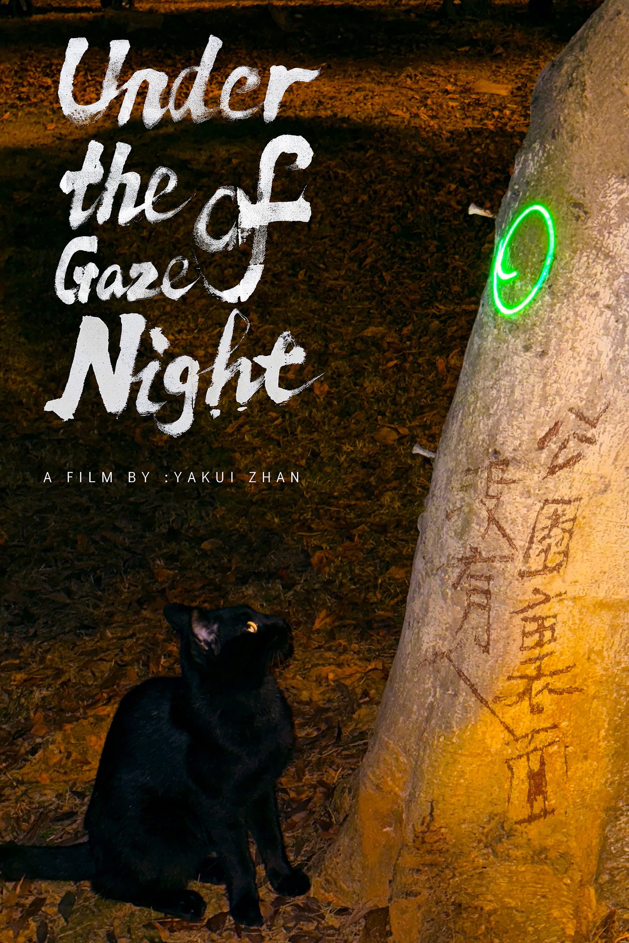 Poster backdrop for Under the Gaze of Night