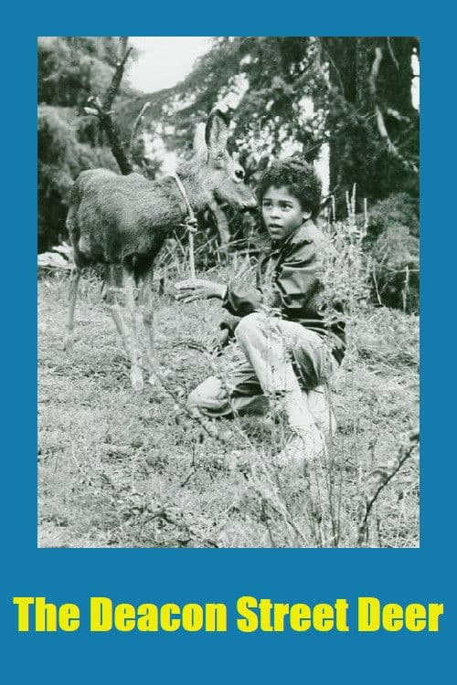 Poster backdrop for The Deacon Street Deer