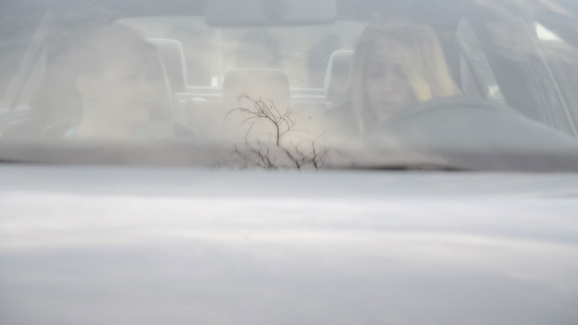 Poster backdrop for The Ground that Sinks