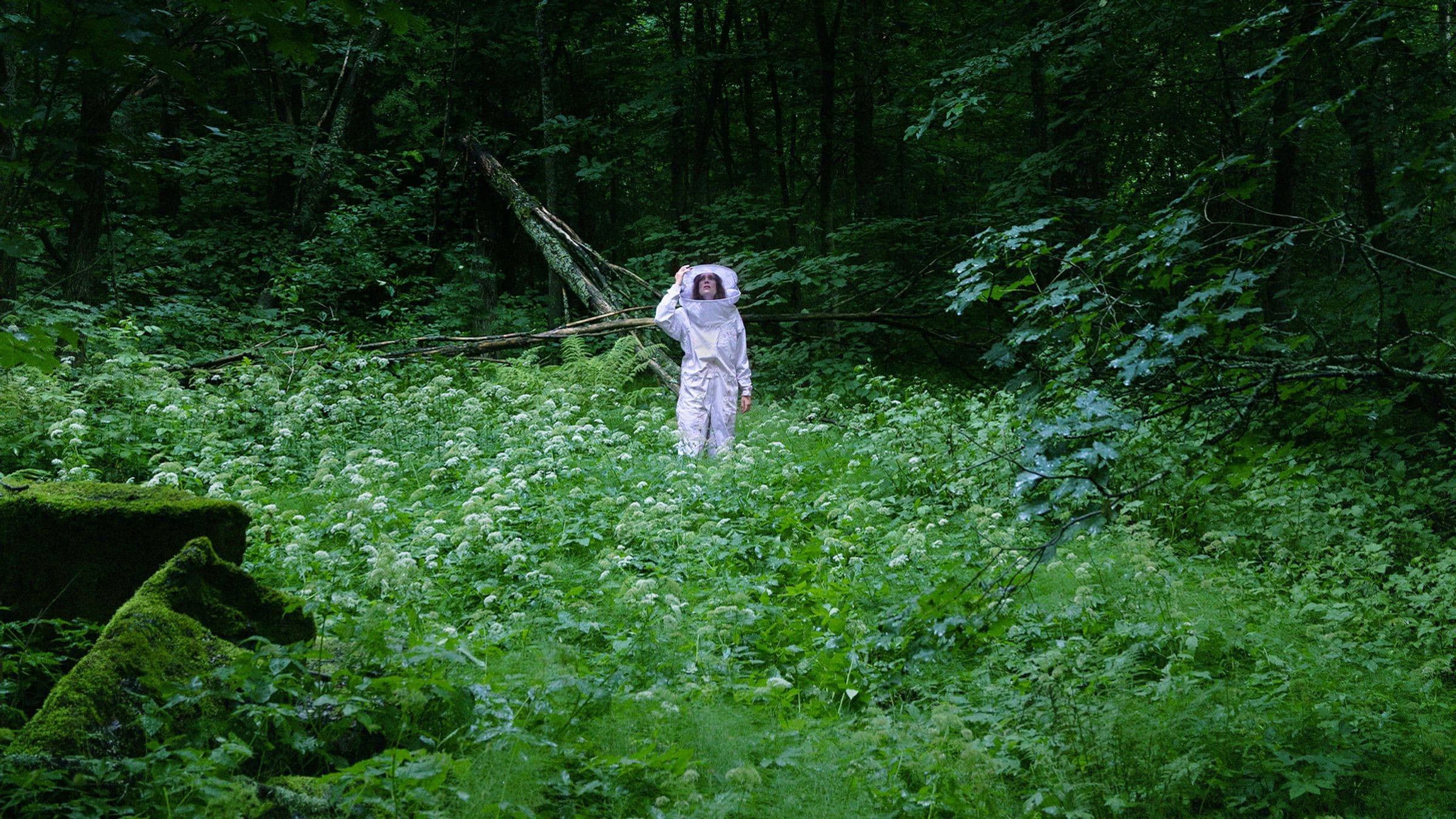 Poster backdrop for Summer of Bees
