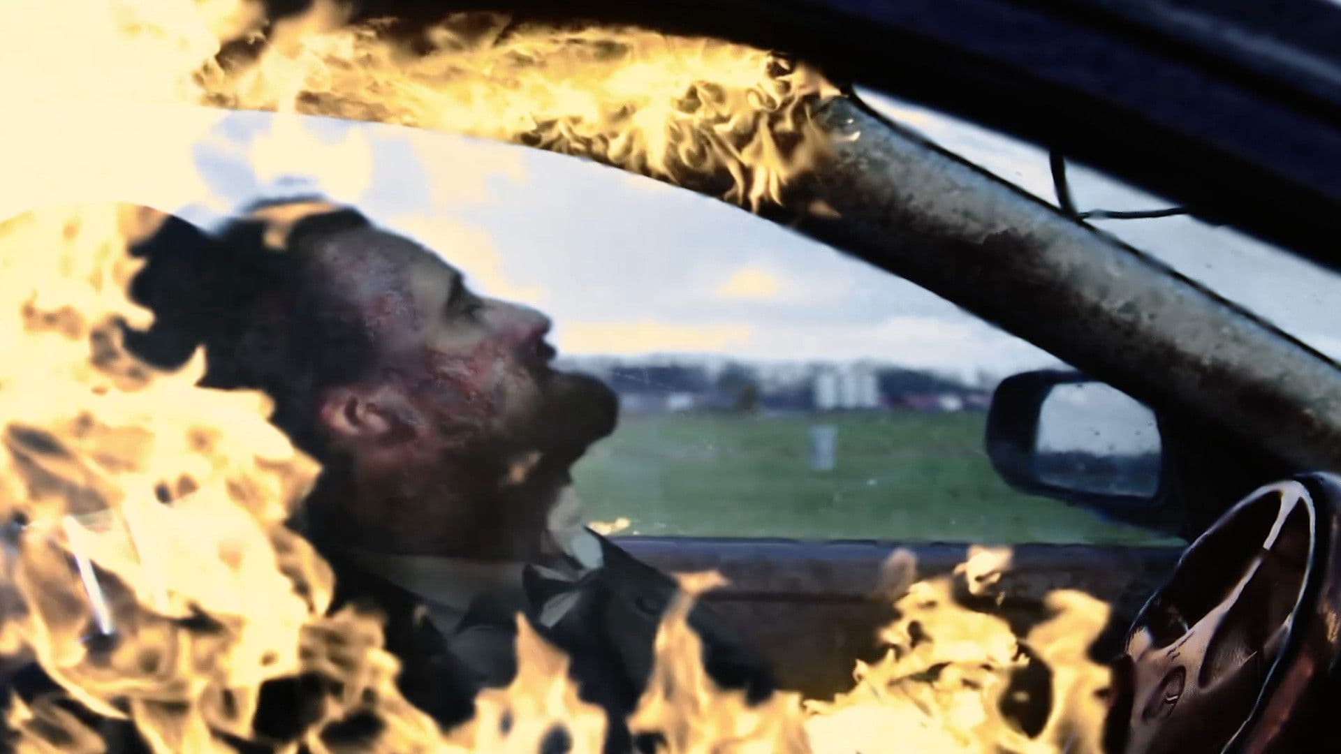 Poster backdrop for The Fox