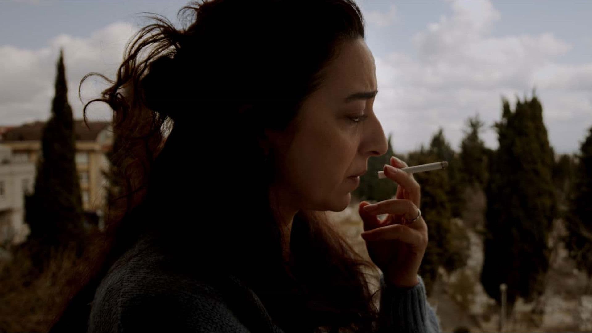 Poster backdrop for Confrontation