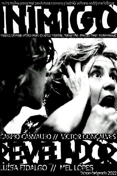 Poster backdrop for The Enemy's Gift