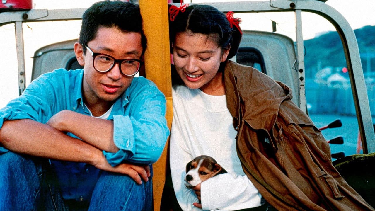 Poster backdrop for I Like You!