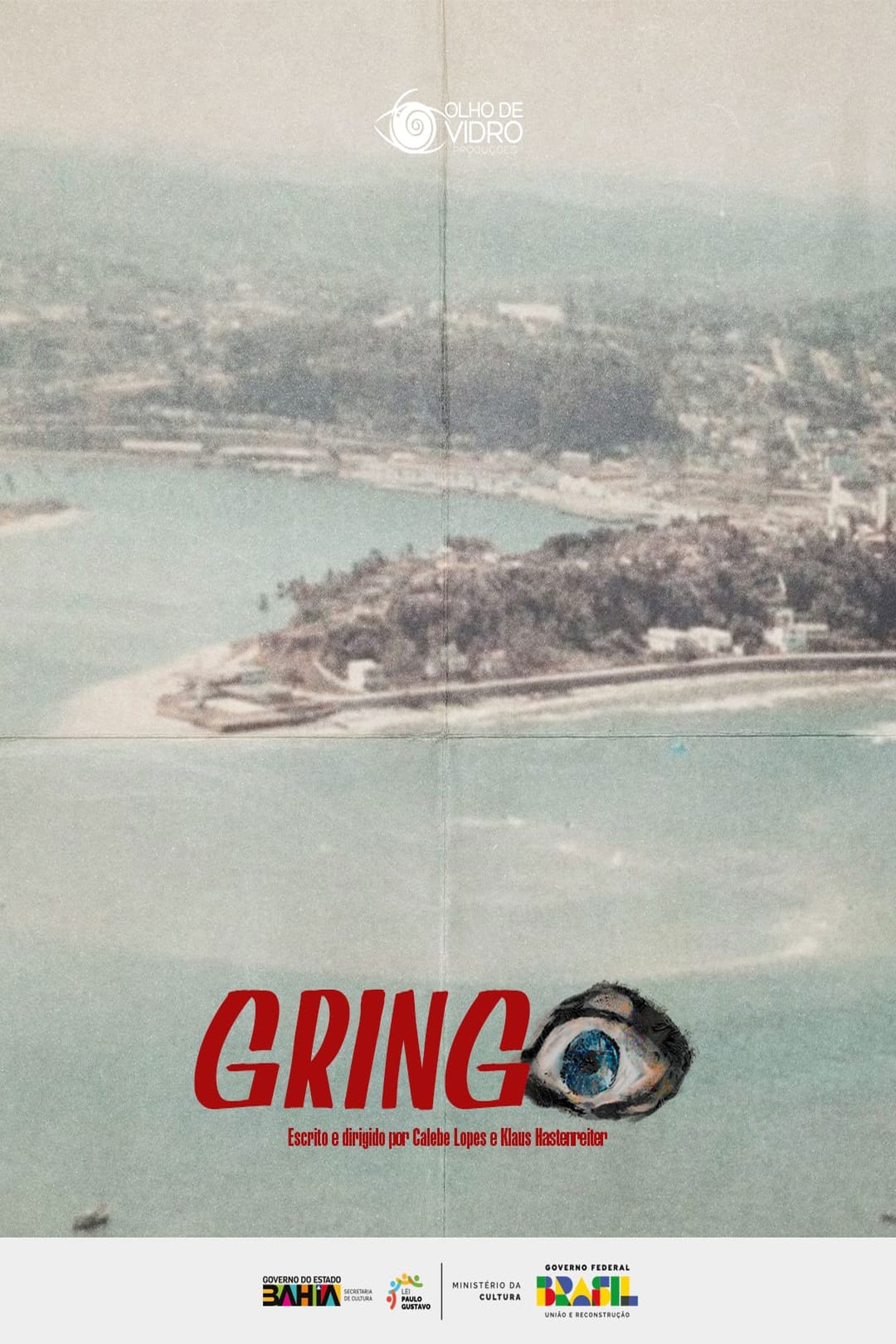Poster backdrop for Gringo