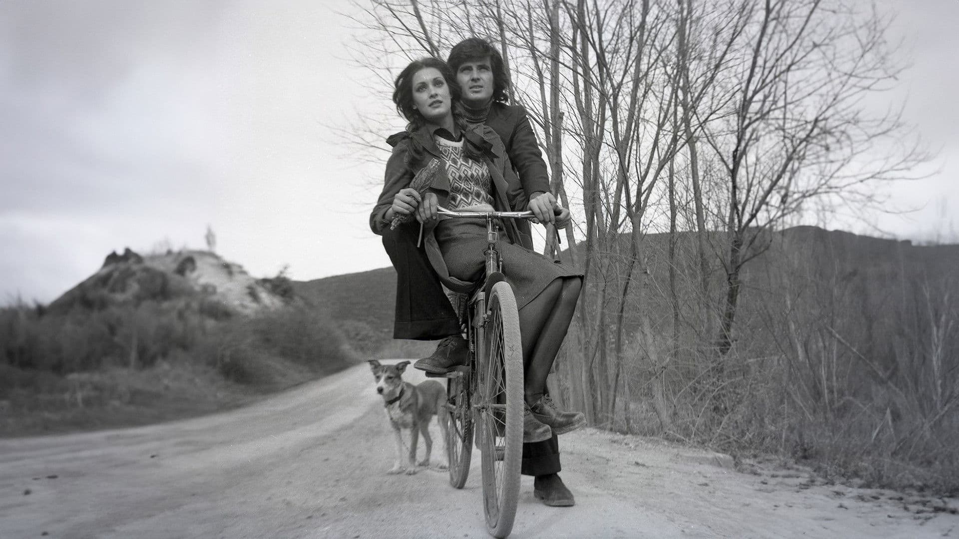 Poster backdrop for Delisin