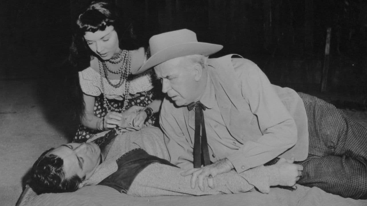 Poster backdrop for Man or Gun