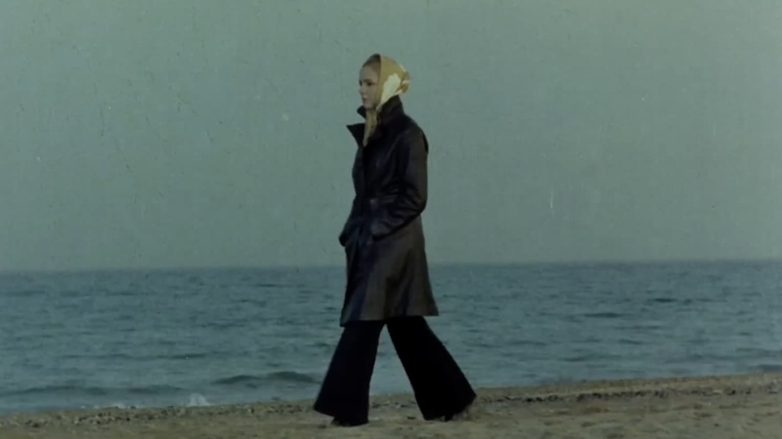 Poster backdrop for Fleeting Loves