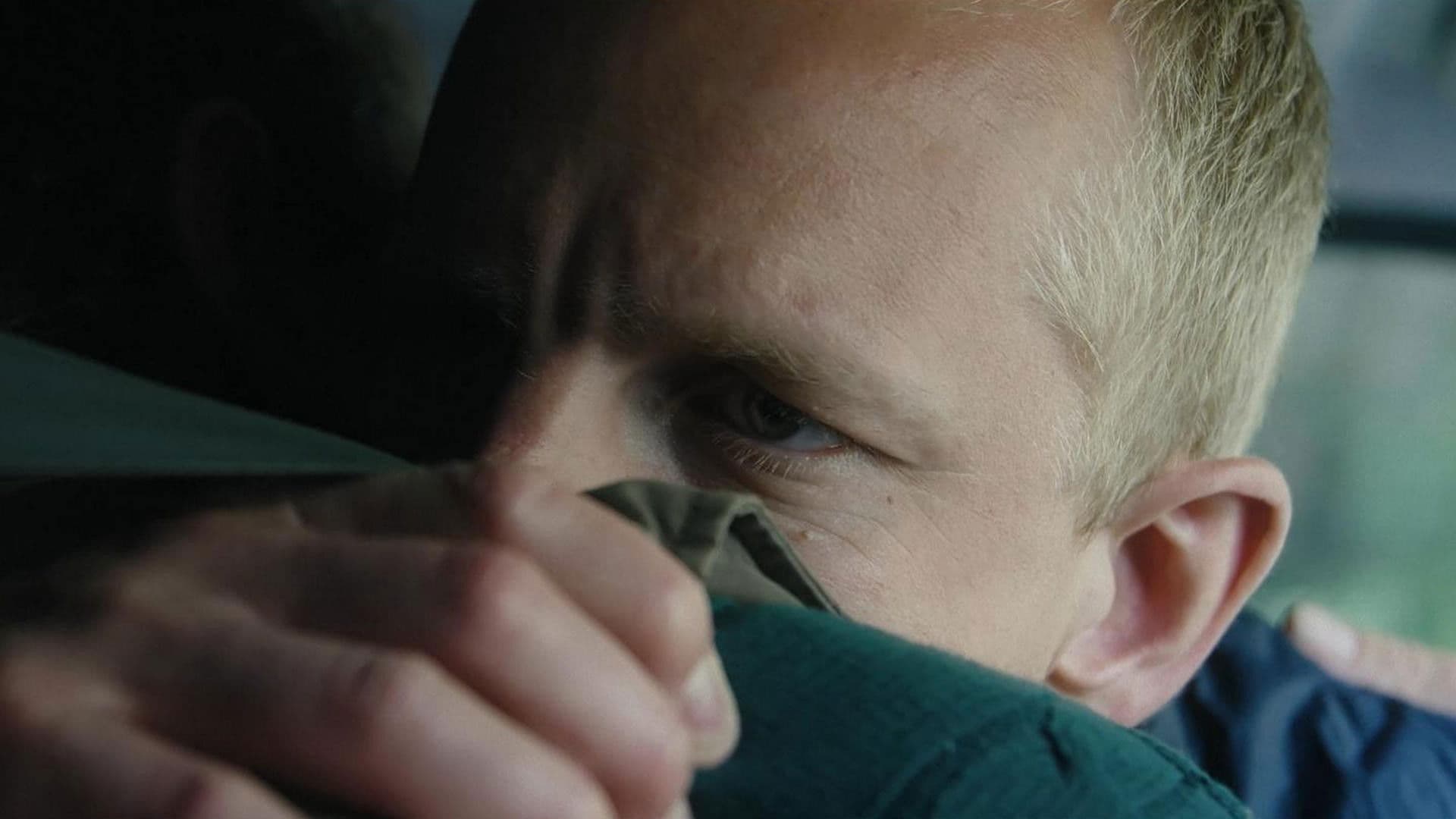 Poster backdrop for Hornbeam