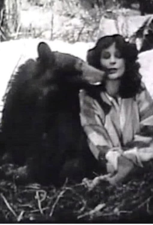 Poster backdrop for The Light on Lookout Mountain