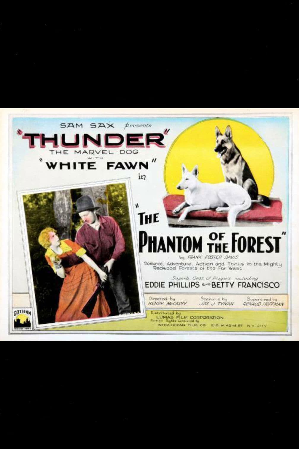 Poster backdrop for The Phantom of the Forest