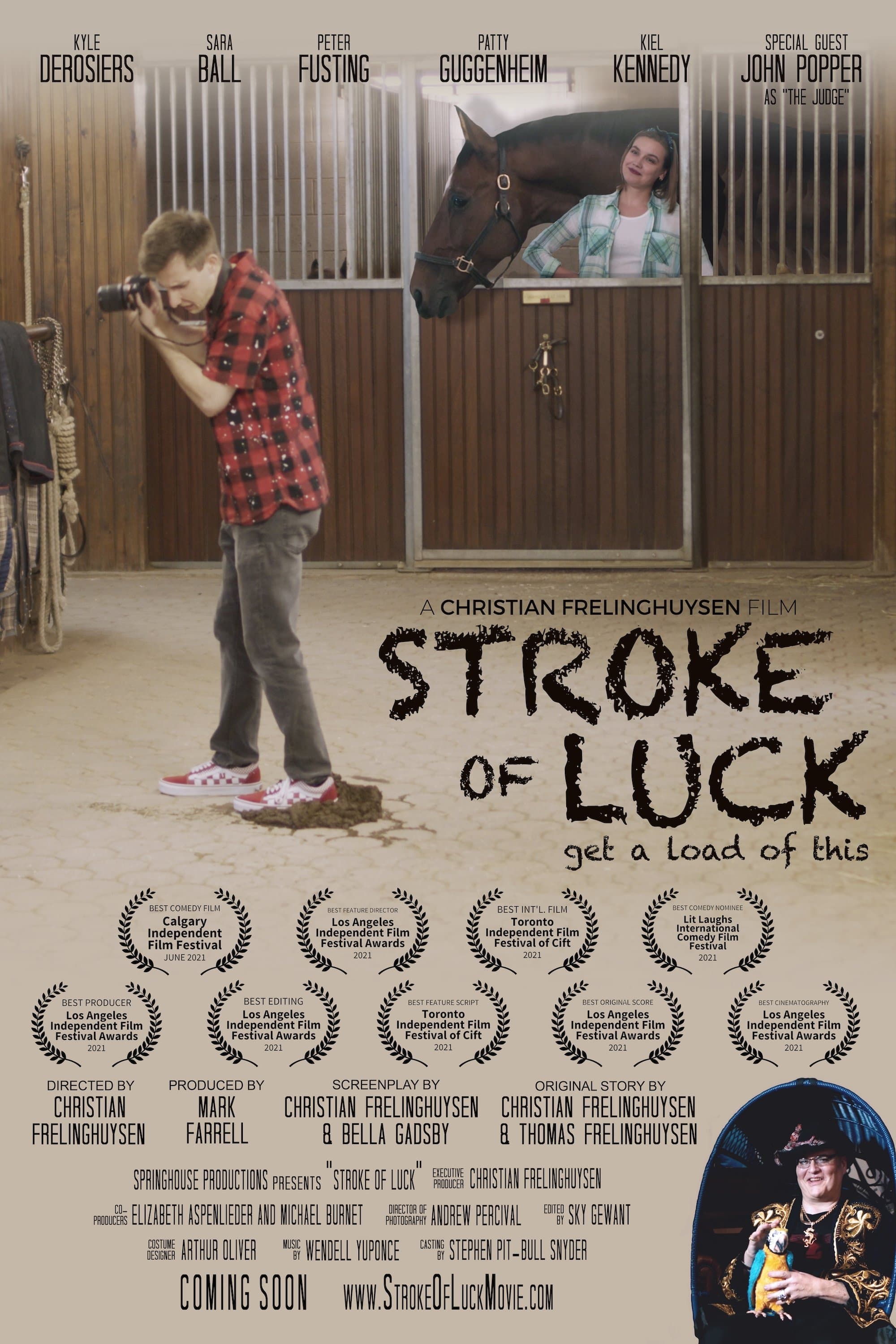 Poster backdrop for Stroke of Luck