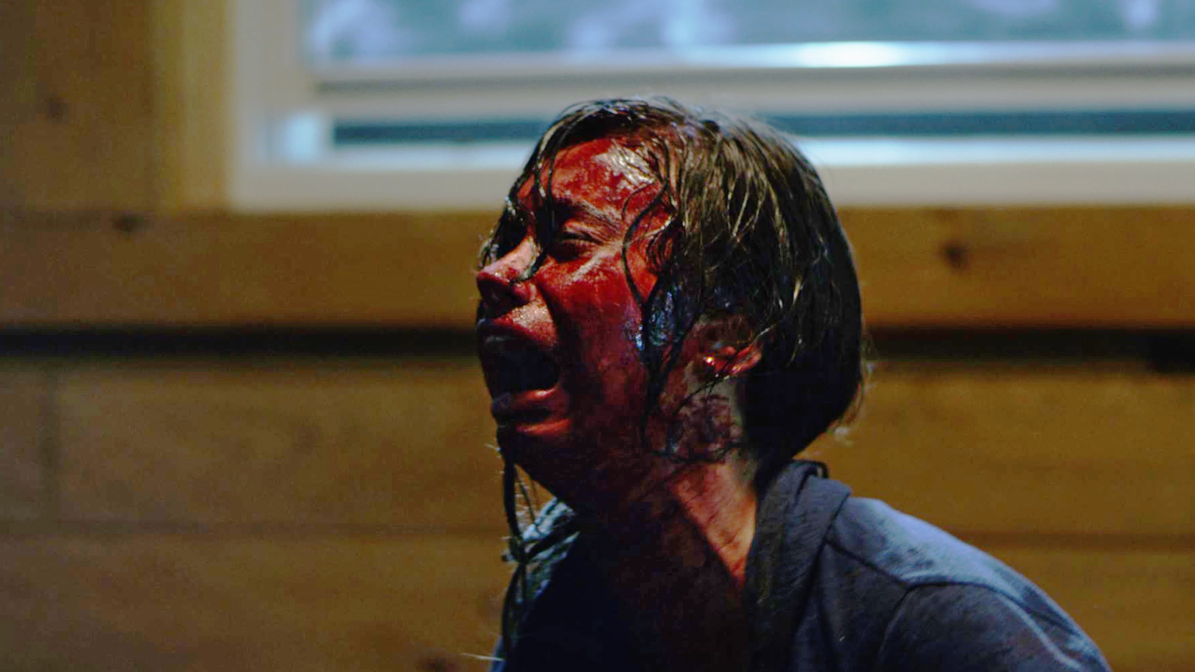 Poster backdrop for Silent Retreat