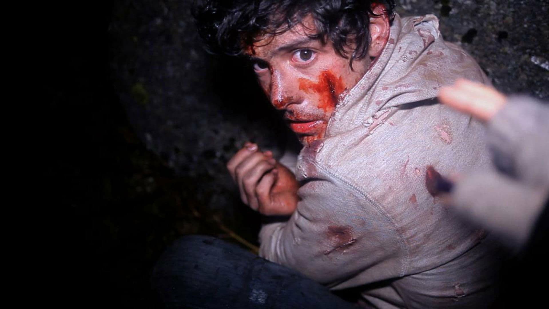 Poster backdrop for A Night in the Woods