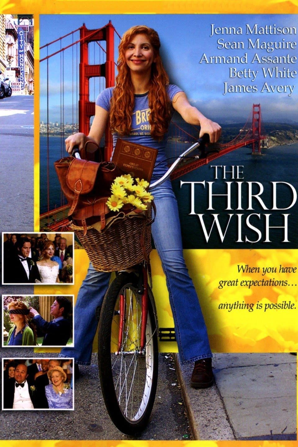 Poster backdrop for The Third Wish