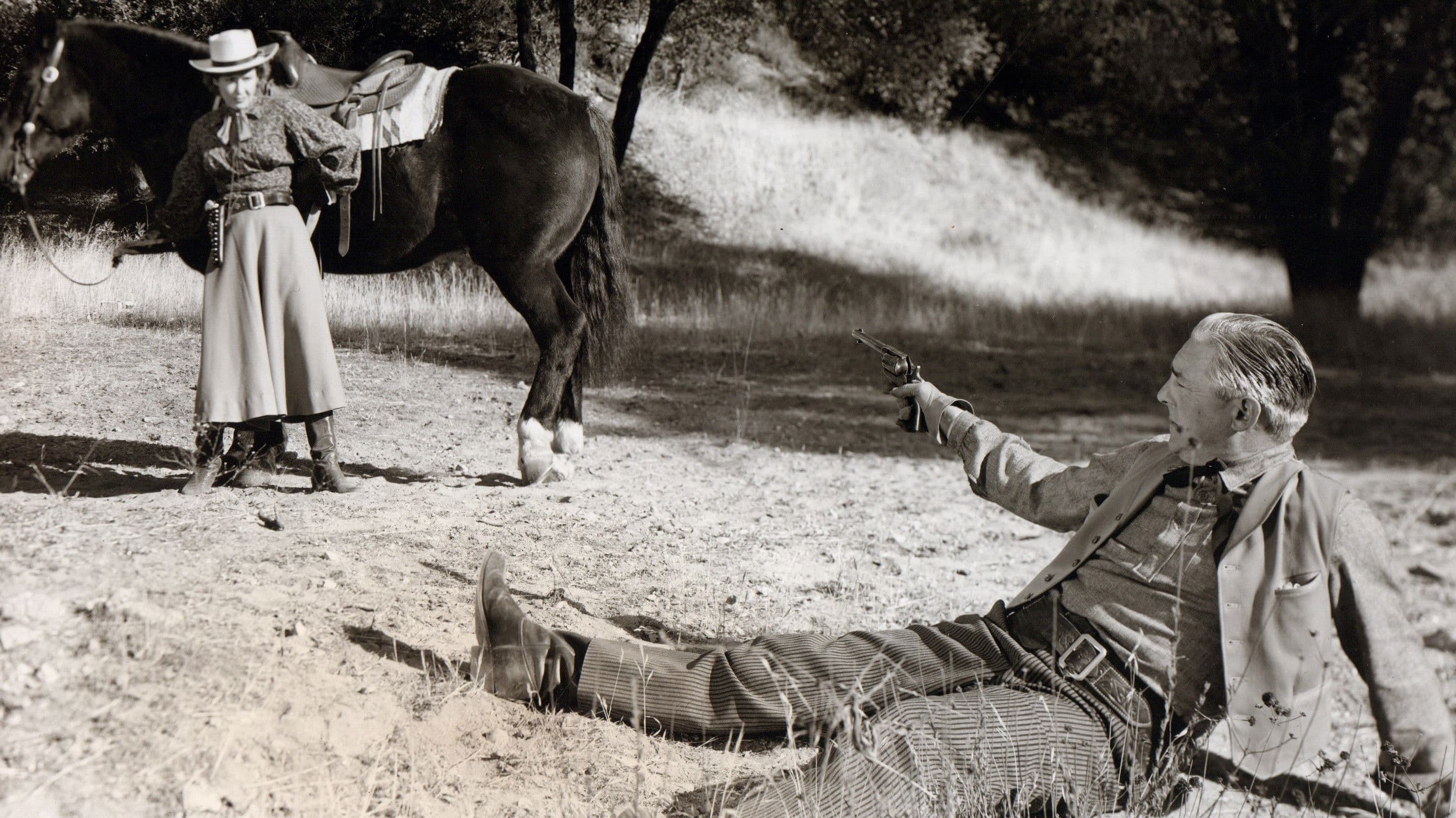 Poster backdrop for Gun Runner