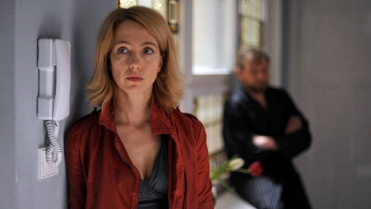 Poster backdrop for Die Frau von früher