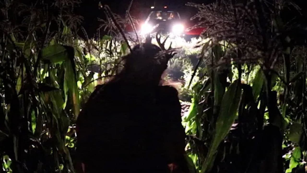 Poster backdrop for Fawn