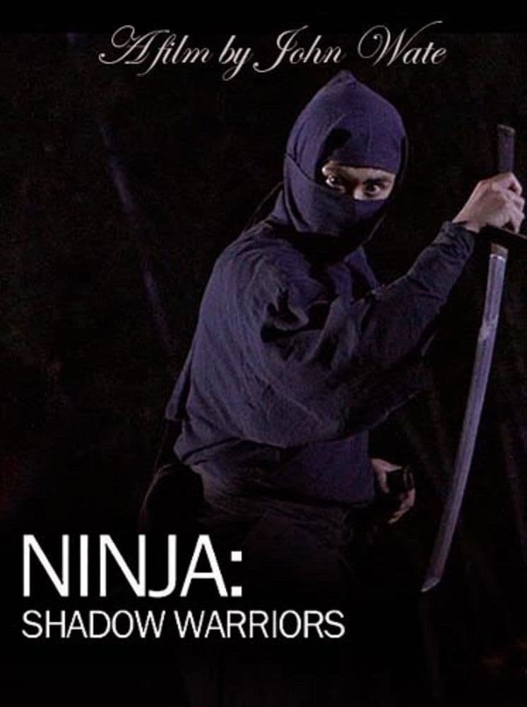 Poster backdrop for Ninja Shadow Warriors