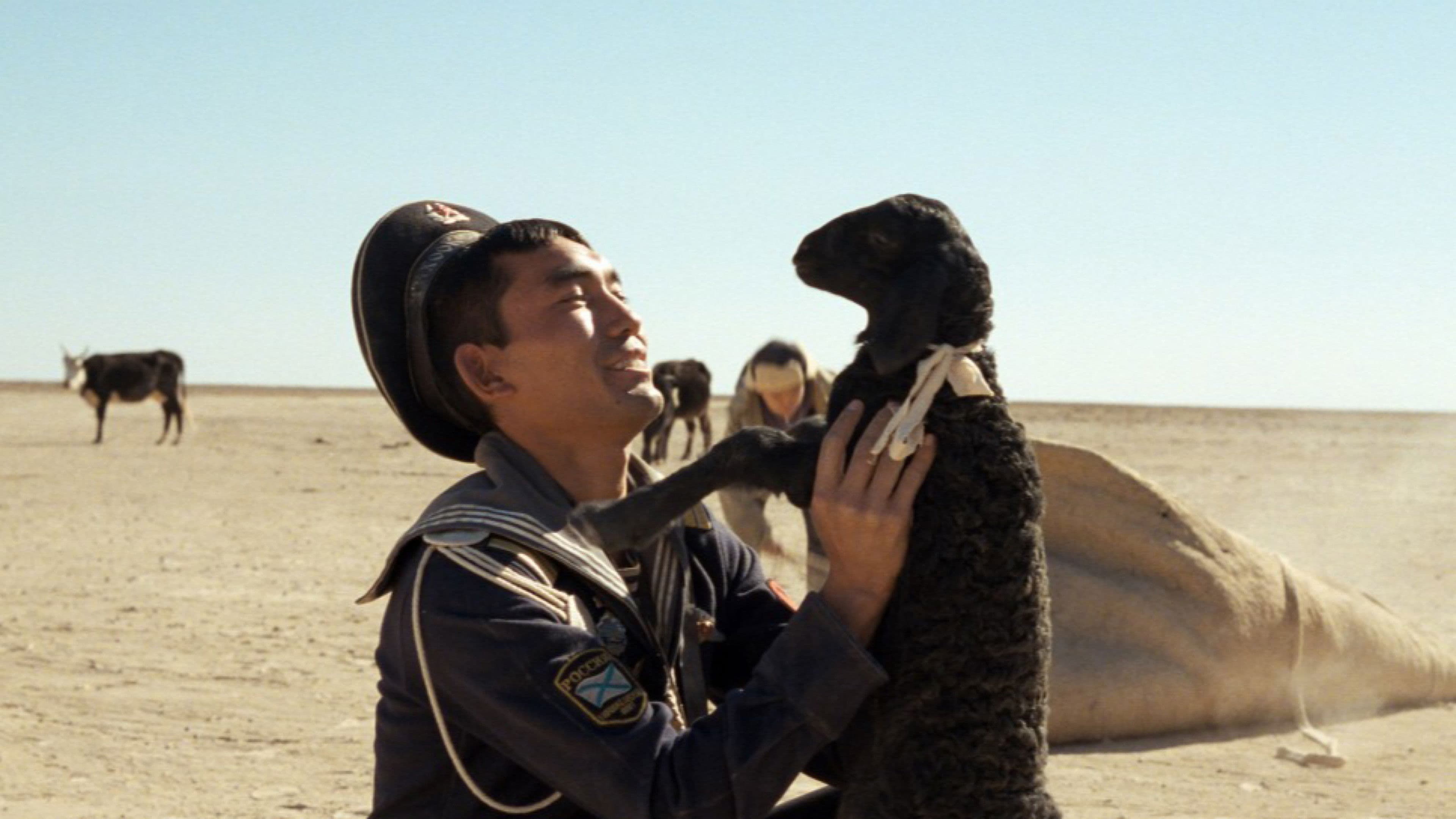 Poster backdrop for Tulpan