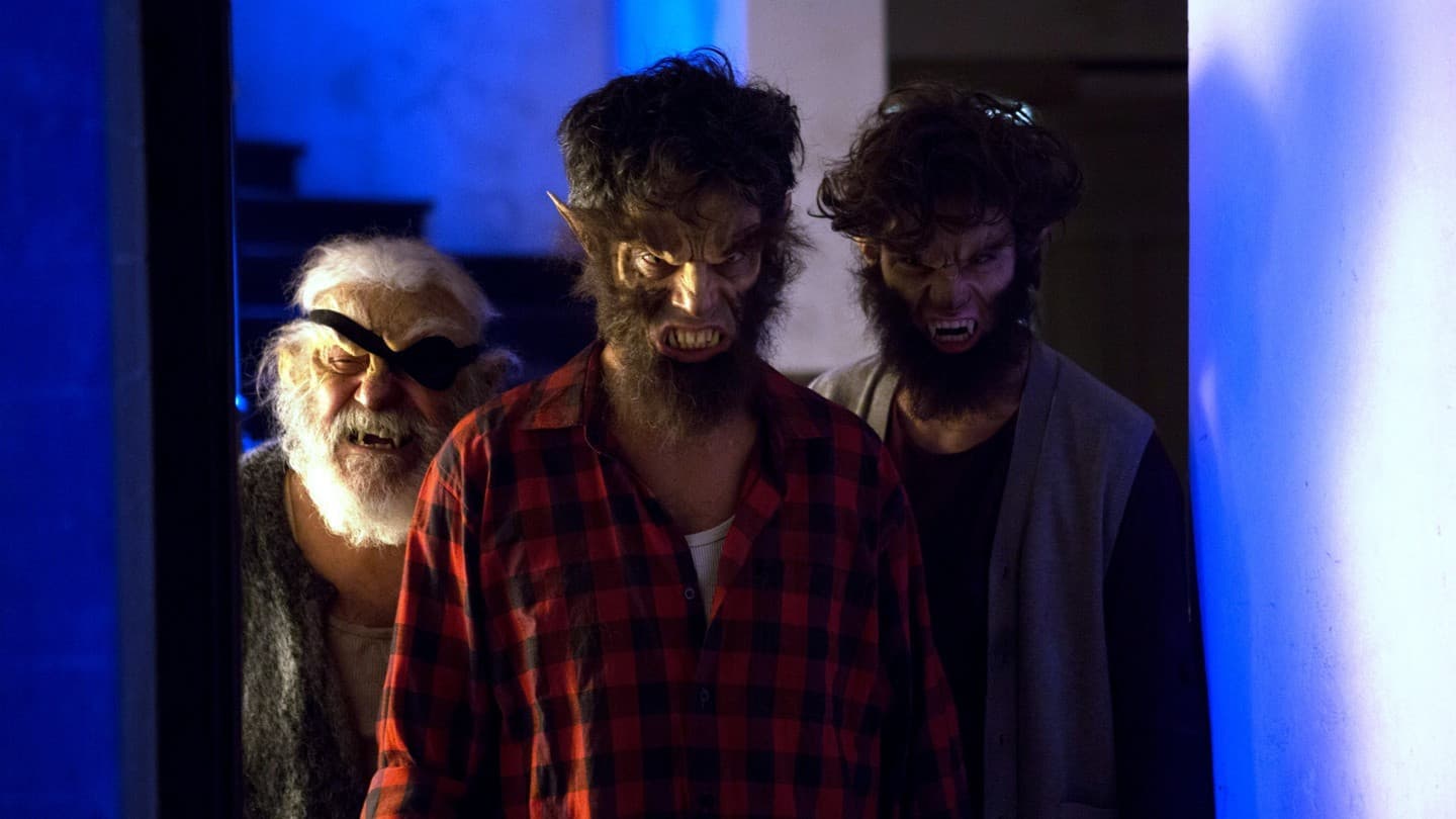 Poster backdrop for La casa de palos