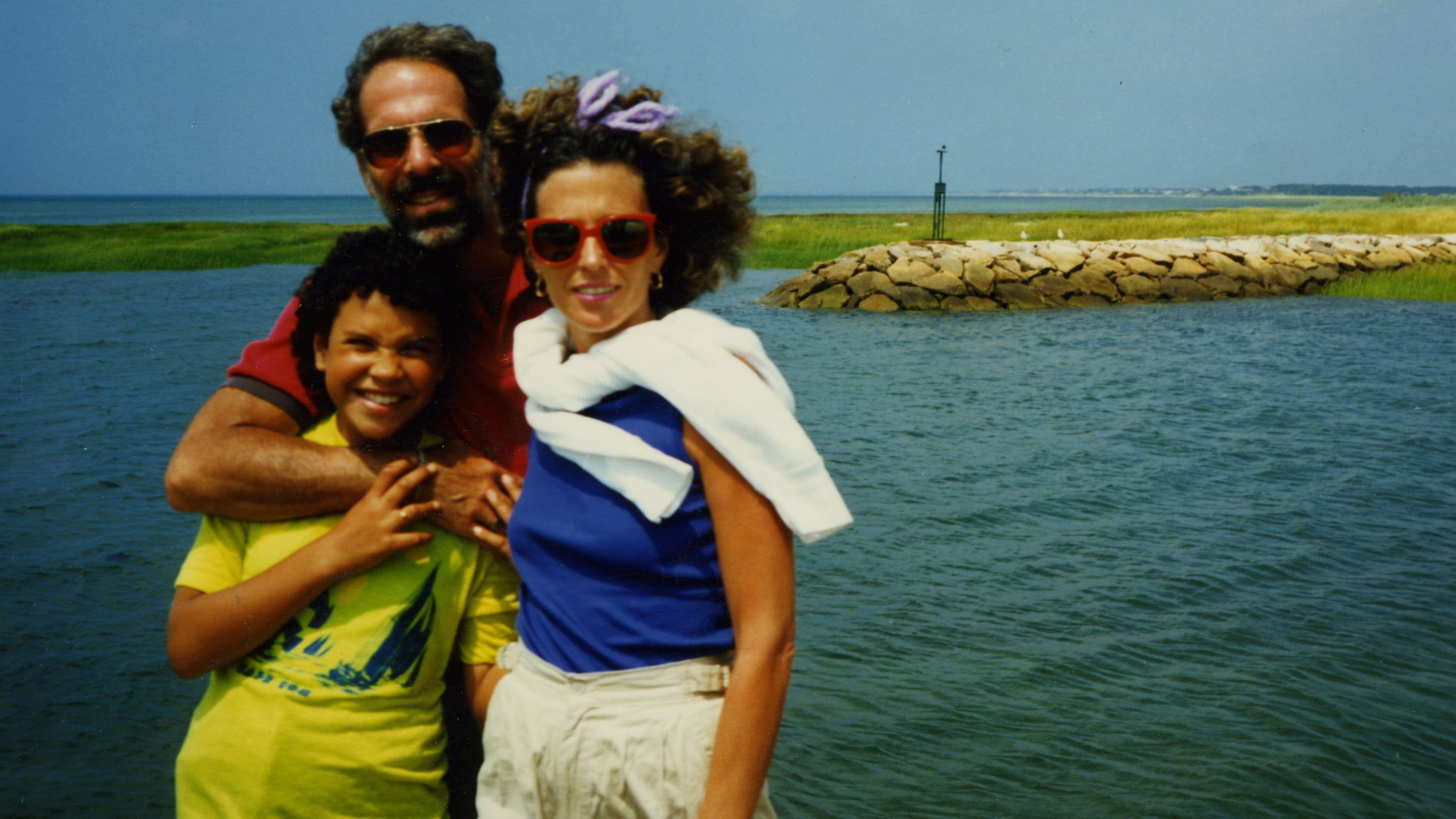 Poster backdrop for Little White Lie