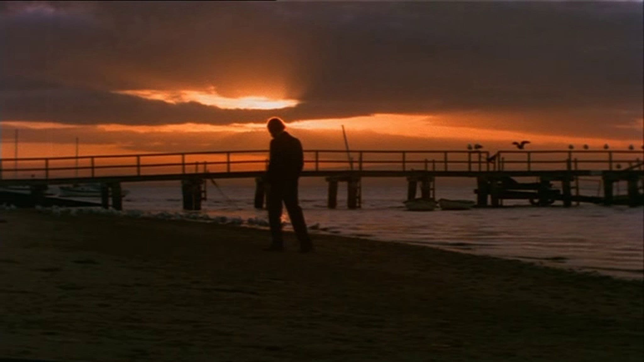 Poster backdrop for Summerfield