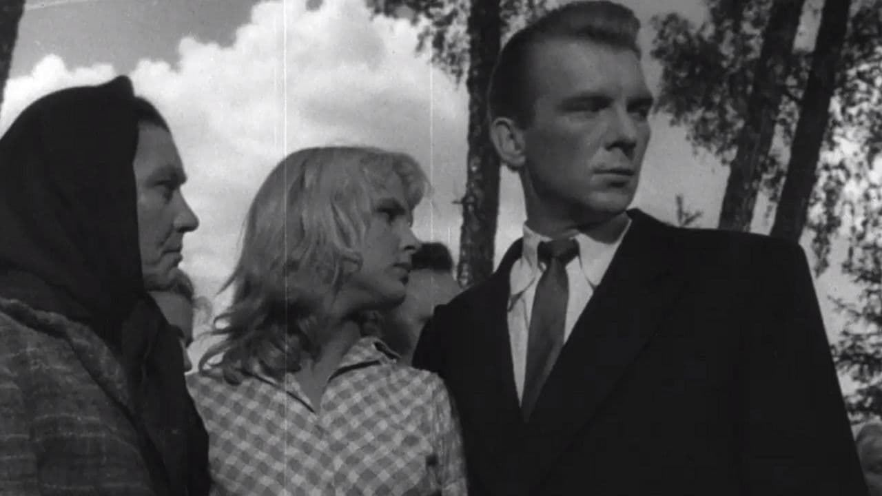 Poster backdrop for Ilze