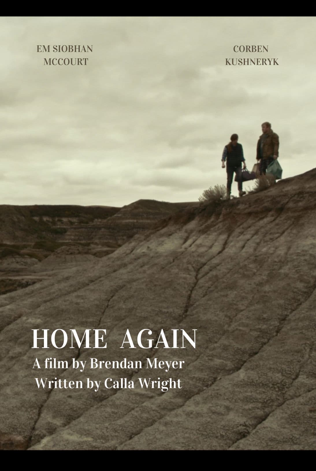 Poster backdrop for Home Again