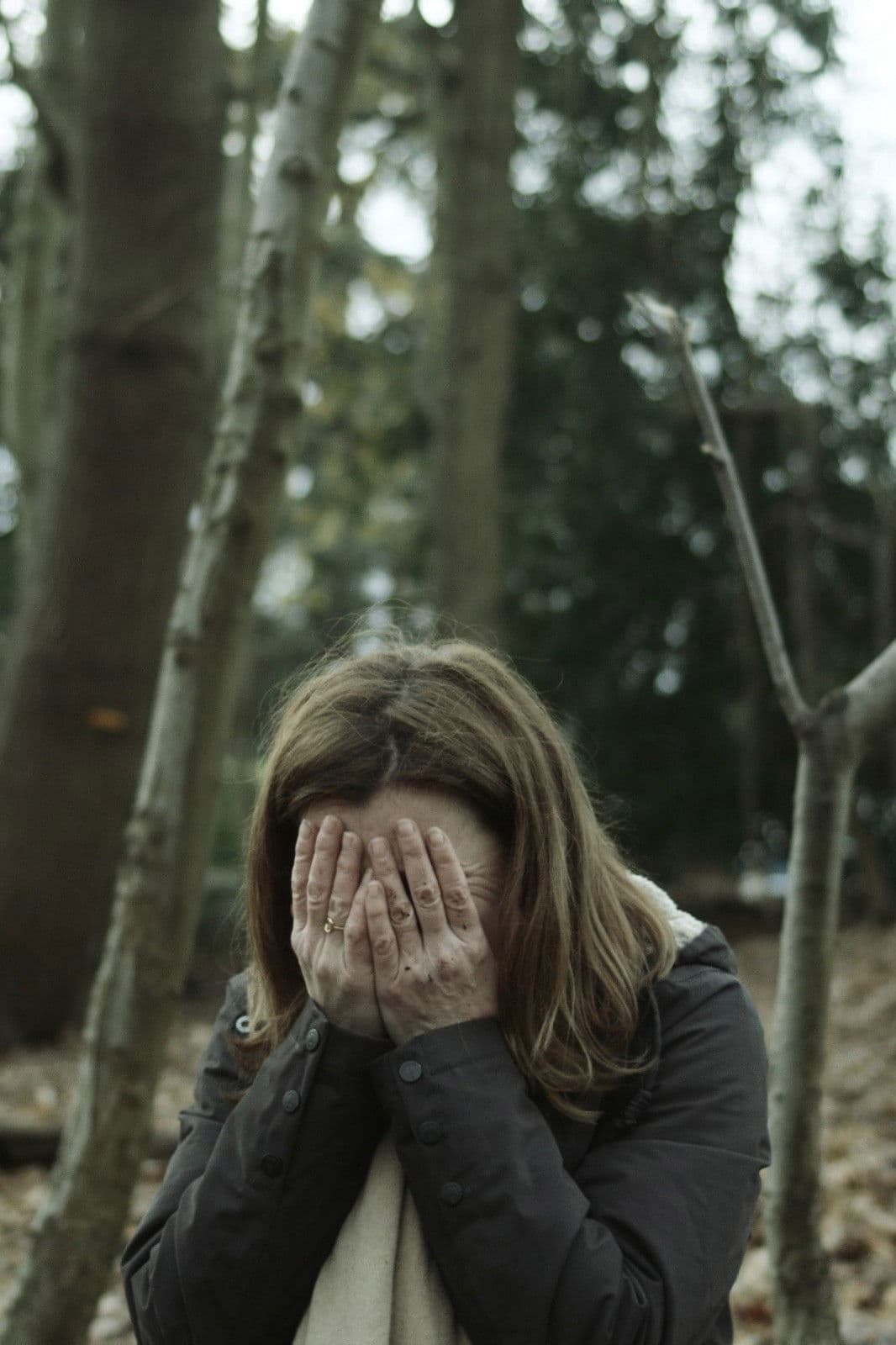 Poster backdrop for The Erl King