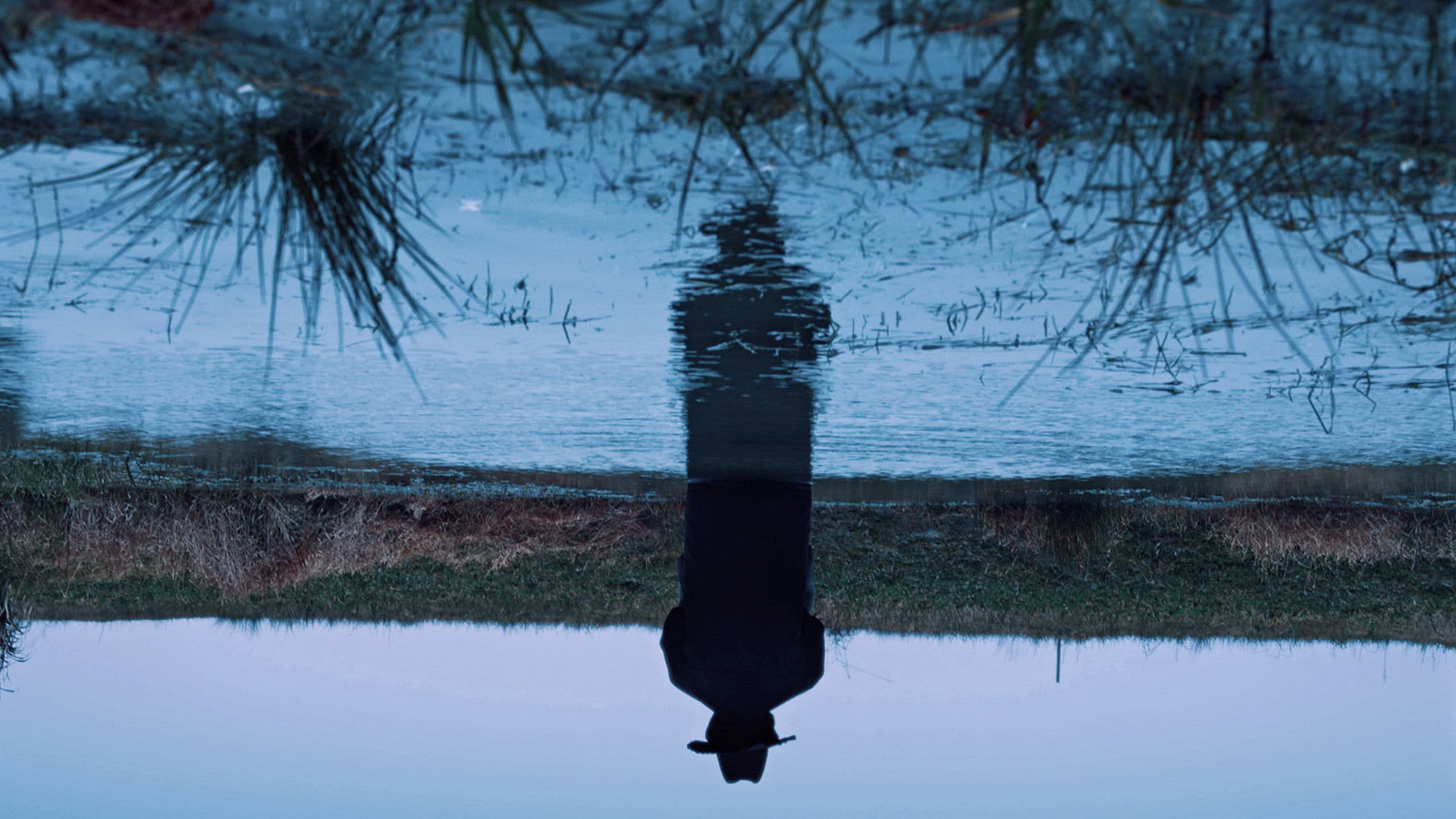 Poster backdrop for A Short Story