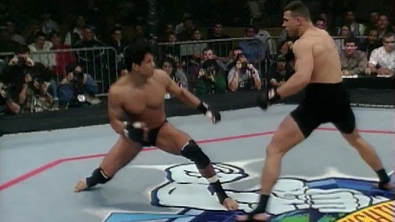 Poster backdrop for UFC 16: Battle In The Bayou