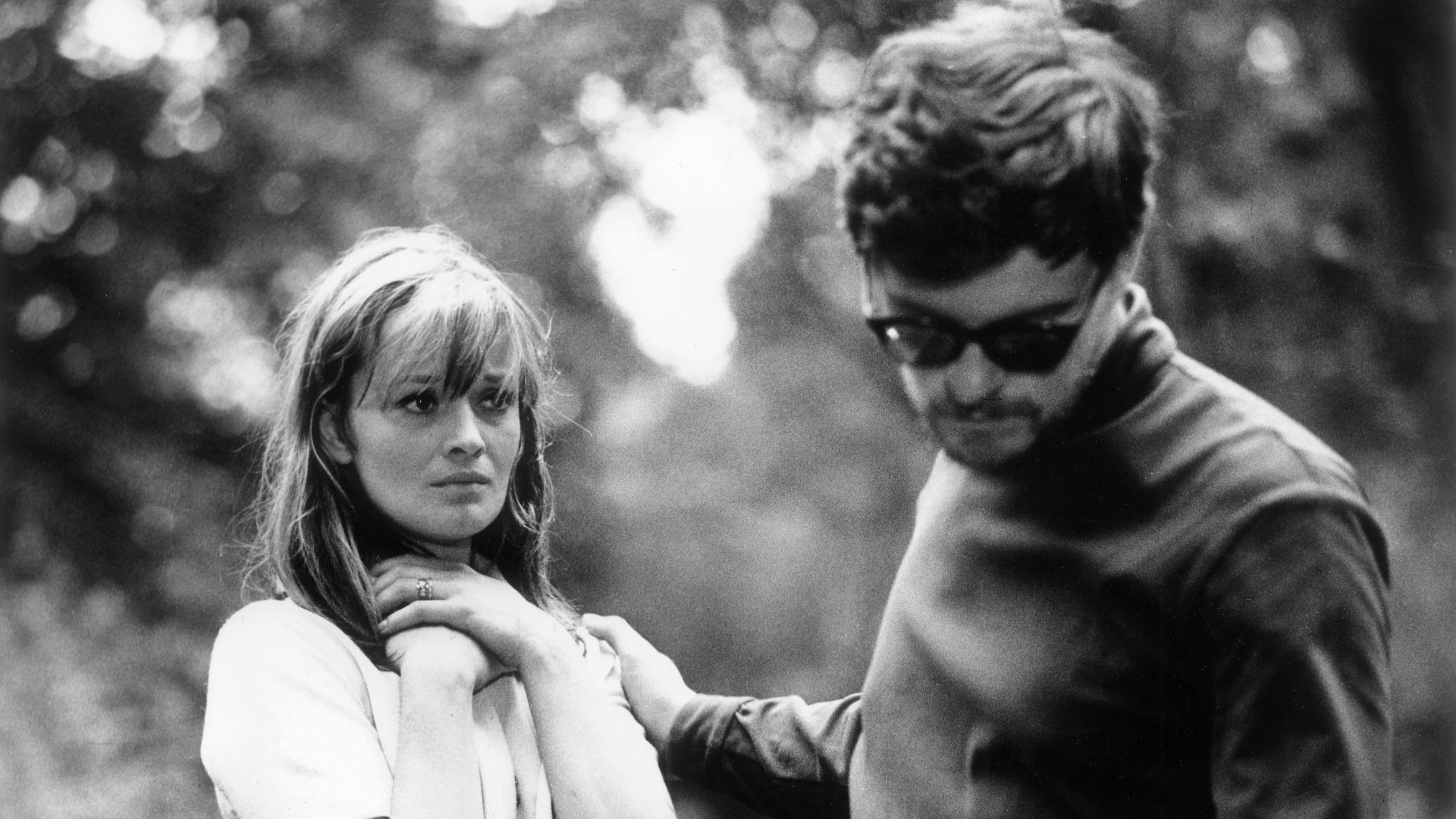 Poster backdrop for The Return of the Prodigal Son