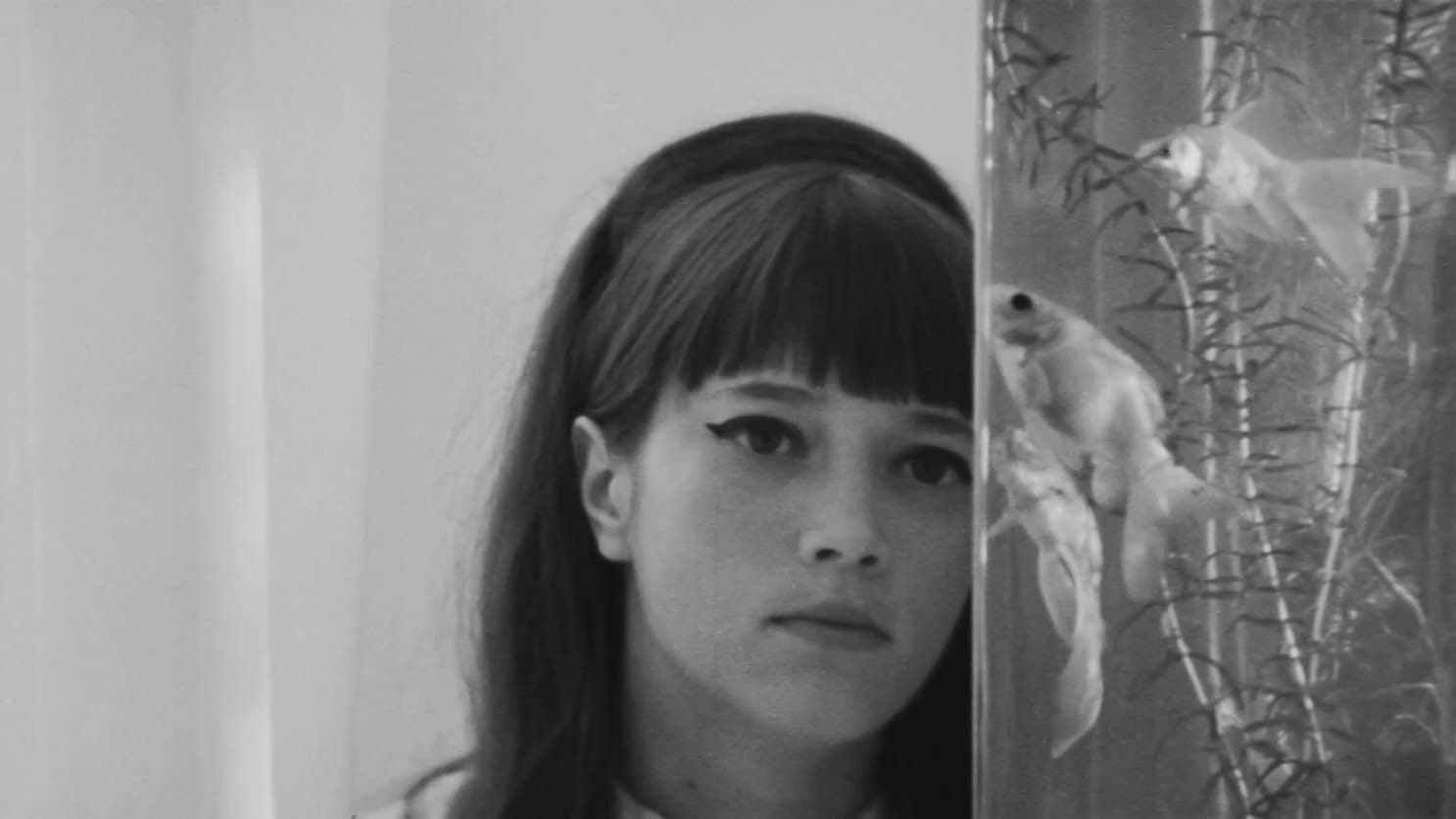 Poster backdrop for Madness