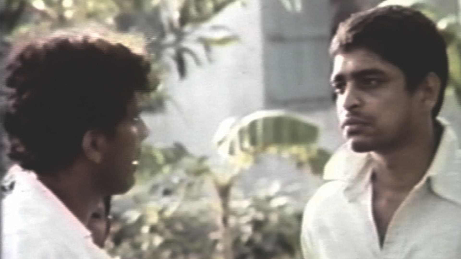 Poster backdrop for Bim