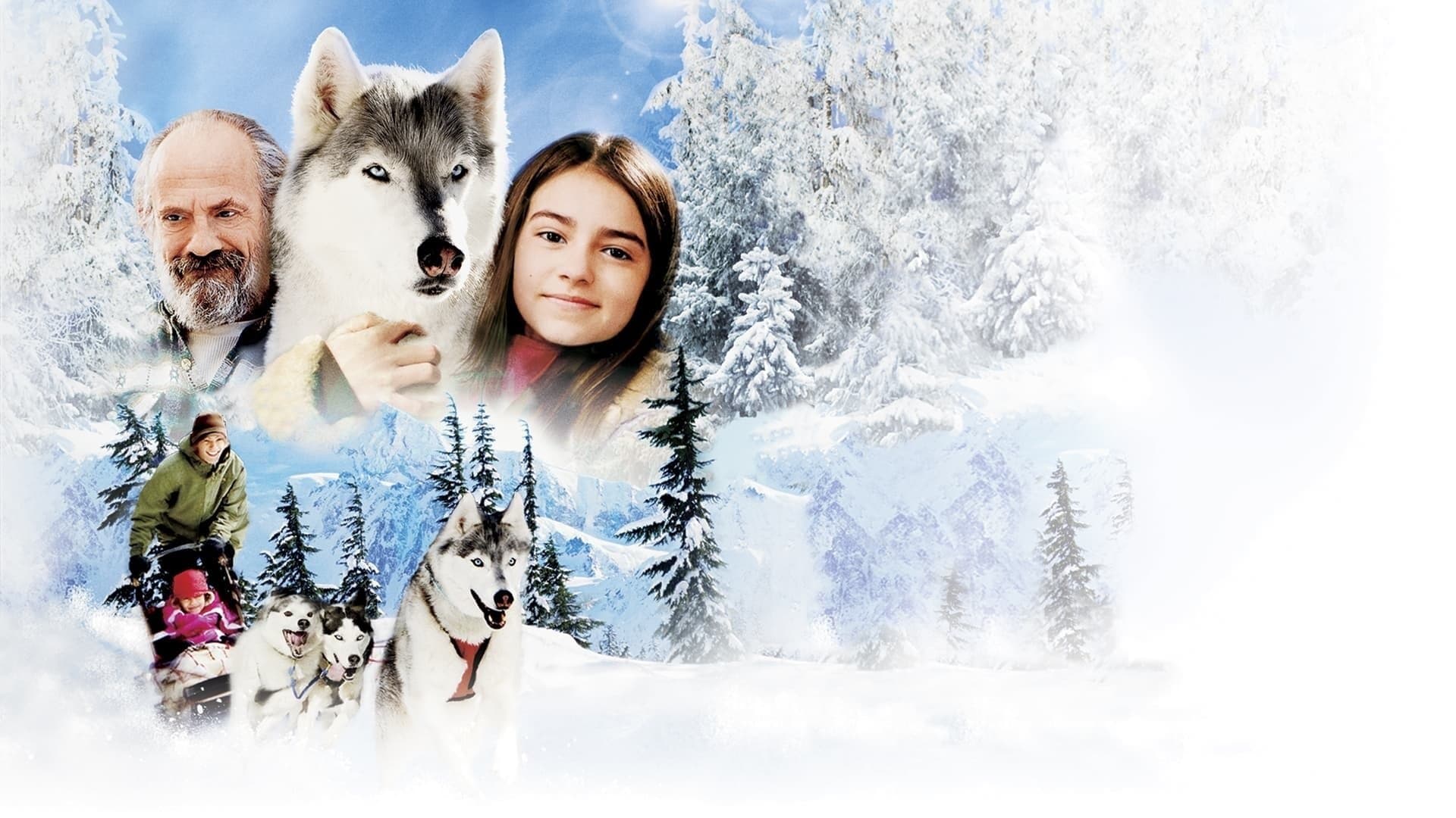 Poster backdrop for Call of the Wild