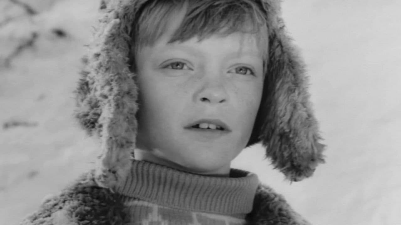 Poster backdrop for The Large Trampoline